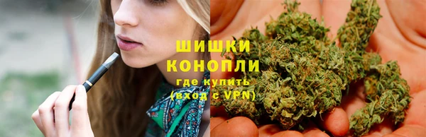 сатива Елабуга