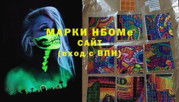 гашик Ельня