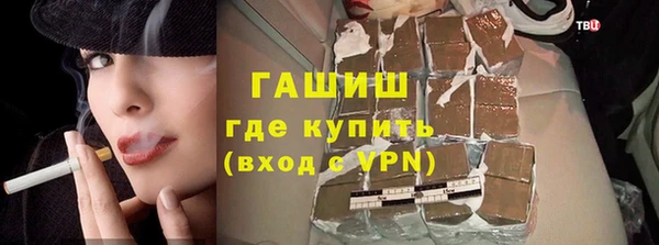 гашик Ельня