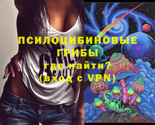 сатива Елабуга