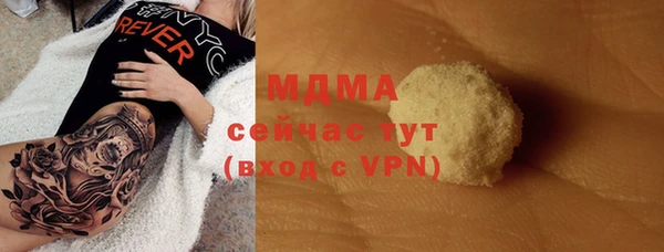гашик Ельня