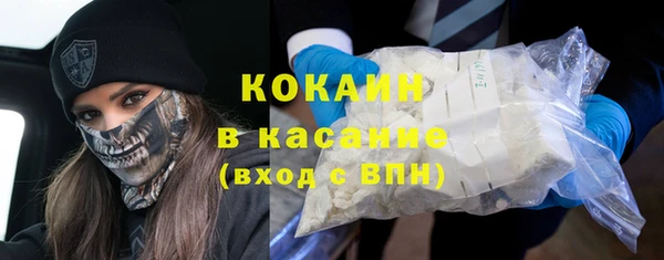 сатива Елабуга