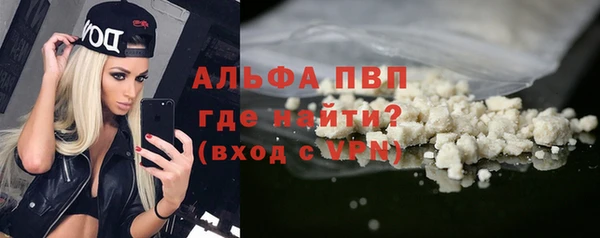 сатива Елабуга