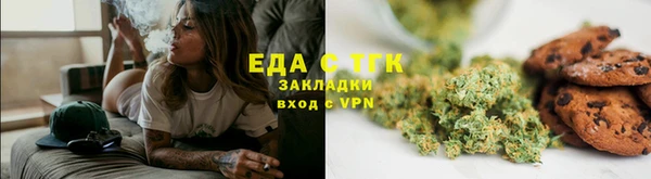 гашик Ельня