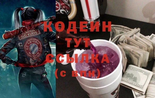 гашик Ельня