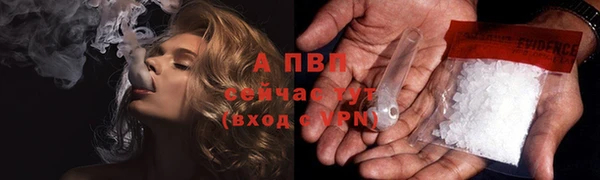 гашик Ельня