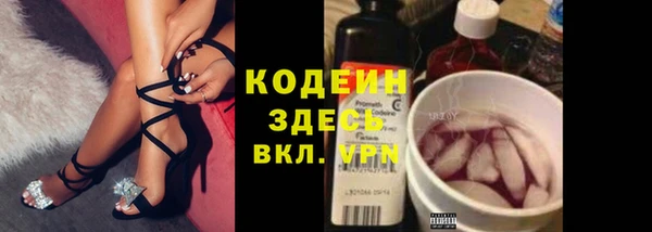 гашик Ельня