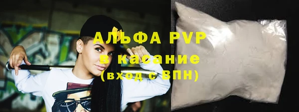 гашик Ельня