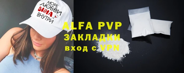 гашик Ельня