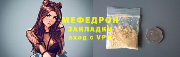 гашик Ельня
