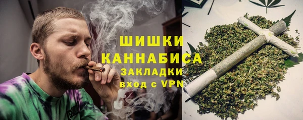 сатива Елабуга