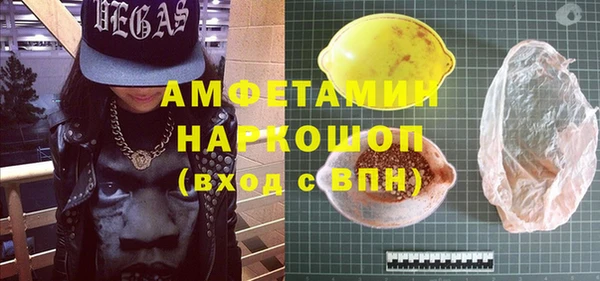 гашик Ельня