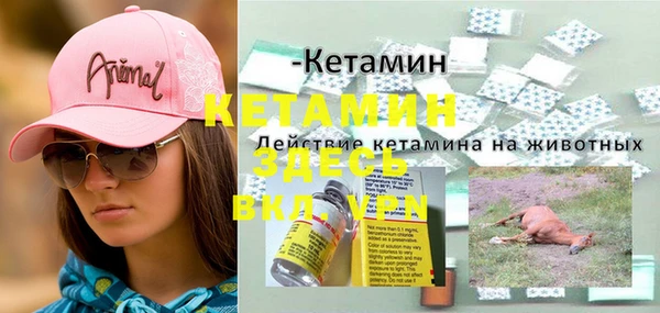 сатива Елабуга