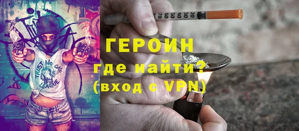 гашик Ельня
