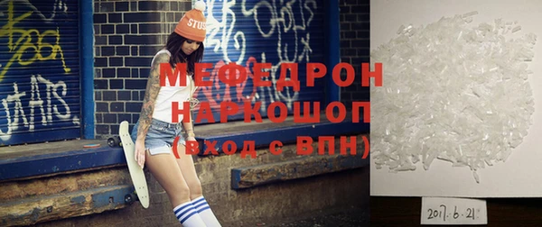 гашик Ельня