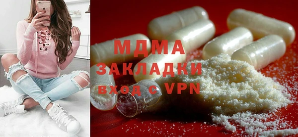 гашик Ельня