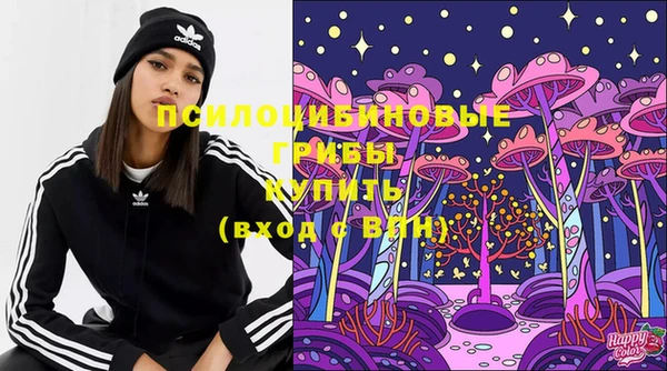 дурь Елизово