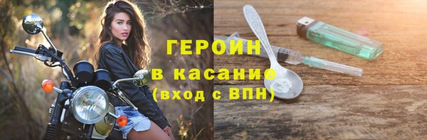 гашик Ельня