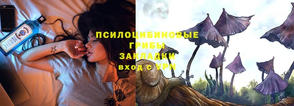 сатива Елабуга