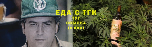гашик Ельня