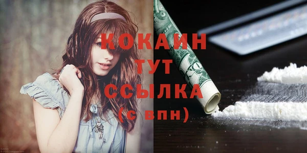 дурь Елизово