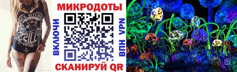 Купить  Куса  Псилоцибиновые грибы Psilocybe 